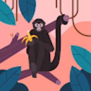 Meet your Posher, Saachi